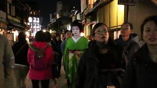 The Beauty of Geisha in Kyoto Japan [upl. by Perusse]