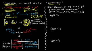 BIOCHEM 13  Amino Acid Ionization 1 [upl. by Fitton353]