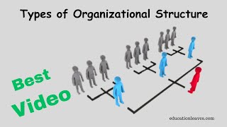 Types of Organizational Structure in management [upl. by Dudden]