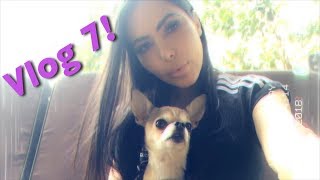 A Day In The Life of Lela Star  Vlog 7 [upl. by Nij177]