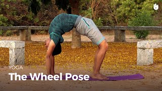 Learn the Wheel Pose  Chakrasana  Yoga [upl. by Asereht622]