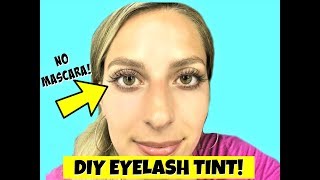 DIY EYELASH TINTING AT HOME Natural Looking Lashes [upl. by Senecal793]