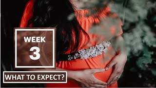 3 Week Pregnant  What to Expect [upl. by Ymerrej234]