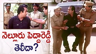 Brahmanandams Nelluru Pedha Reddy Comedy  Anaganaga Oka Roju Comedy Scenes  Brahmi Comedy Scenes [upl. by Airetnohs610]