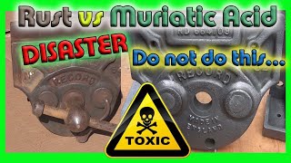 Rust vs Muriatic Acid DISASTER Do not do this [upl. by Tiemroth]