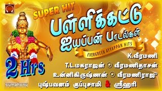 Pallikattu  Ayyappan Songs hits  Veeramani  Veeramanidasan  Srihari [upl. by Maye]