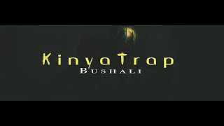 Bushali  Kinyatrap Official video [upl. by Nessie]