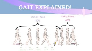 Gait Range of Motion Animation [upl. by Lotty]