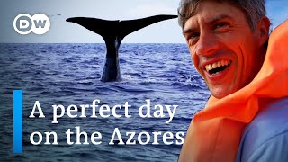 Discover the Azores  A perfect Day on the Azores  Best things to do on the Azores [upl. by Nitsed]