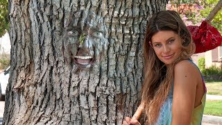 Hippie Beginnings  Hannah Stocking [upl. by Schiffman501]