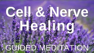 Guided HEAL Meditation  Cell and Nerve Healing Self Healing Meditation [upl. by Adnerak]