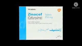 zinacef tablets information [upl. by Ecaroh284]