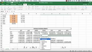 How to Easily Calculate Portfolio Variance for Multiple Securities in Excel [upl. by Anirtek]