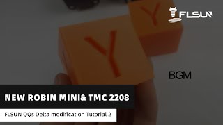 FLSUN QQs Delta modification Tutorial 2 New Robin Miniamp TMC 2208 [upl. by Nevarc]