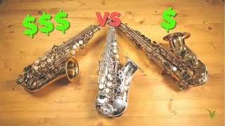 Cheap vs Expensive Curved Soprano Saxophones [upl. by Tuppeny898]