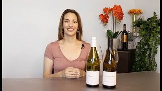 Sancerre vs Sauvignon Blanc [upl. by Nilre452]