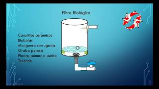 FILTRO BIOLOGICO CASERO PARA ACUARIO O ESTANQUE DE PECES [upl. by Ramilahs612]