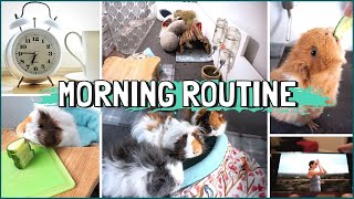 Early Morning Guinea Pig Care Routine [upl. by Isleana]