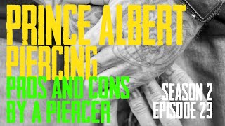 2021 Prince Albert Piercing Pros amp Cons by a Piercer S02 EP23 [upl. by Delainey644]