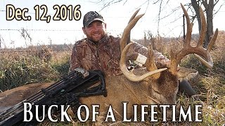 200quot 8 point with drop tines [upl. by Etterb]