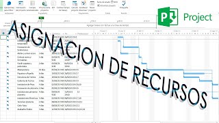 Asignación de recursos básico MS Project [upl. by Nepean]