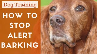 How To Train A Dog To Stop Alert Barking [upl. by Juanne630]