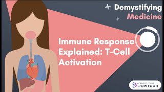 Immune Response Explained TCell Activation [upl. by Evatsug37]