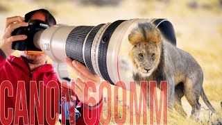 Canon 600mm f4 IS BEST Lens for WILDLIFE Photography [upl. by Russell]