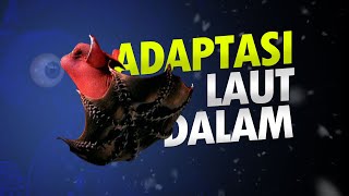 Adaptasi Makhluk Laut Dalam AlamSemenit [upl. by Fronnia]