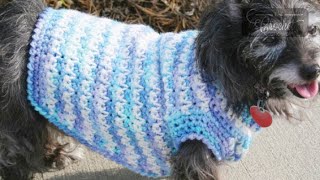 Crochet Dog Sweater [upl. by Nnylyar497]