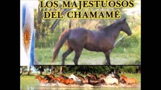 LOS MAJESTUOSOS DEL CHAMAME ENGANCHADOS 03 [upl. by Rfinnej641]