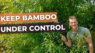 How to PruneMaintain BAMBOO plants and keep them under control [upl. by Haskell885]