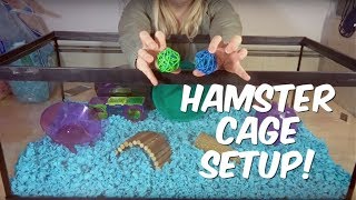 HOW TO SET UP A HAMSTER CAGE [upl. by Ginnie]