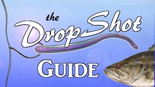 DROPSHOT Guide  The Most Effective Rig in Bass Fishing [upl. by Neih486]