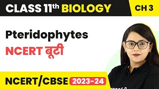 Pteridophytes  NCERT बूटी  Plant Kingdom  Class 11 Biology Chapter 3  NCERTCBSE [upl. by Laohcin]