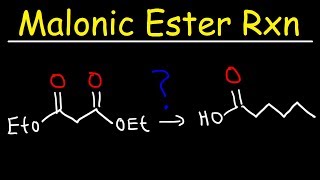 Malonic Ester Synthesis Reaction Mechanism [upl. by Obocaj]