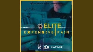 Expensive Pain [upl. by Sirroned]