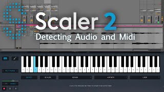 Scaler 2 Workflow  Audio amp Midi Detection [upl. by Noreht]