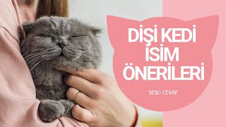 En Güzel Dişi Kedi İsimleri [upl. by Annadal]