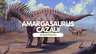 Dinopedia  Amargasaurus cazaui [upl. by Otirecul]