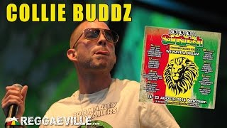 Collie Buddz  Come Around  Rototom Sunsplash 2014 8172014 [upl. by Enyawd]