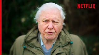 Sir David Attenborough On The Devastating Truth About Coral Reefs [upl. by Ern875]