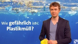 Plastik im Meer  Wie gefährlich ist Plastikmüll [upl. by Xeno]