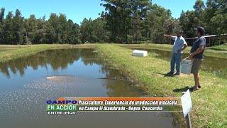 Piscícultura Manejo y cultivo de peces autóctonos del Río Uruguay  Juan Pablo Hegglin [upl. by Ettinger]