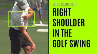 GOLF How The Right Shoulder Works In The Golf Swing [upl. by Caldera]