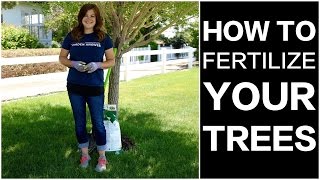 How to Fertilize Trees [upl. by Cirderf]