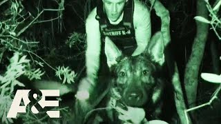 Live PD Most Viewed K9 Busts  AampE [upl. by Abie382]