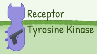 Receptor Tyrosine Kinase  MAPK Pathway [upl. by Fogel]