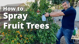 Spraying Fruit Trees and Garden Plants for Insects Fungus amp Disease  Come Let us Spray [upl. by Neelrihs]