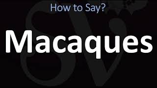 How to Pronounce Macaques CORRECTLY [upl. by Inaej]